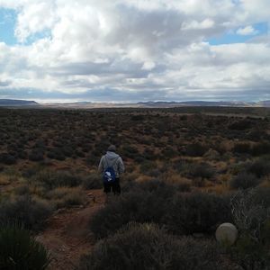 Meet your Posher, David